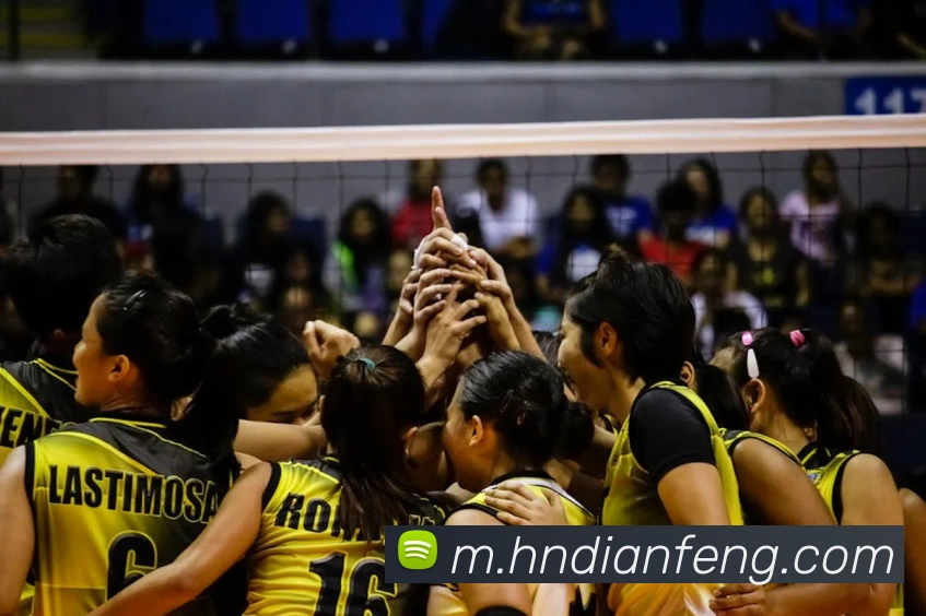 巅峰国际服务体系